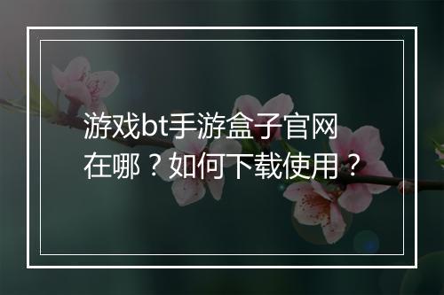 游戏bt手游盒子官网在哪?如何下载使用?