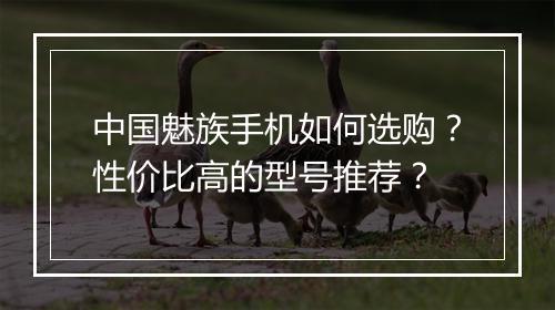 中国魅族手机如何选购?性价比高的型号推荐?