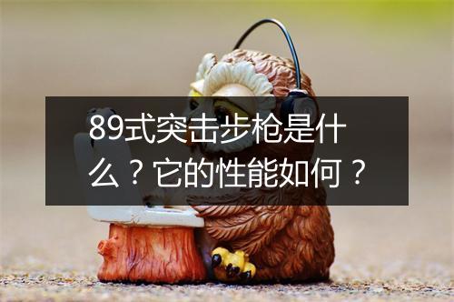 89式突击步枪是什么?它的性能如何?