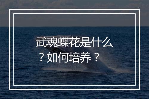武魂蝶花是什么?如何培养?