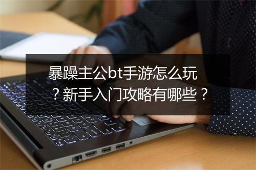 暴躁主公bt手游怎么玩?新手入门攻略有哪些?