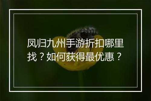 凤归九州手游折扣哪里找?如何获得最优惠?