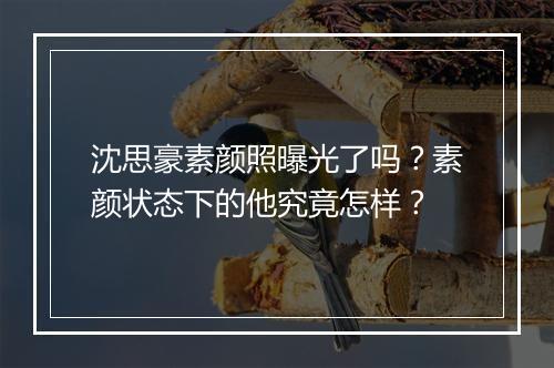 沈思豪素颜照曝光了吗?素颜状态下的他究竟怎样?