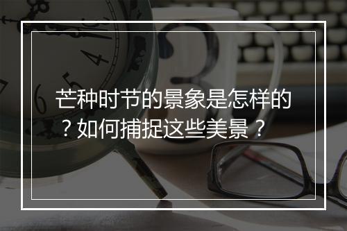 芒种时节的景象是怎样的？如何捕捉这些美景？