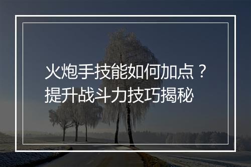 火炮手技能如何加点?提升战斗力技巧揭秘