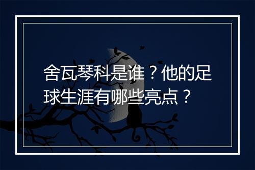 舍瓦琴科是谁?他的足球生涯有哪些亮点?
