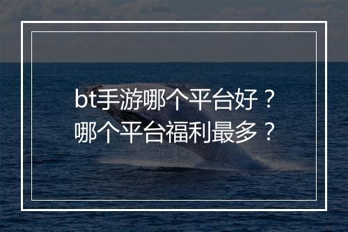 bt手游哪个平台好?哪个平台福利最多?
