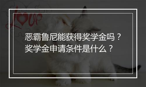 恶霸鲁尼能获得奖学金吗?奖学金申请条件是什么?