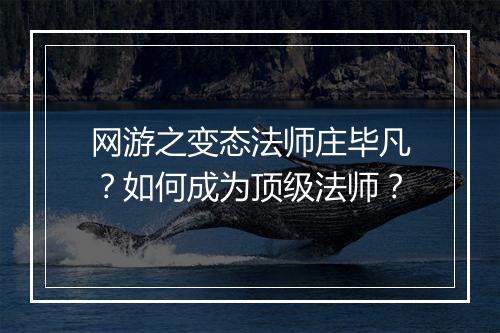 网游之变态法师庄毕凡?如何成为顶级法师?