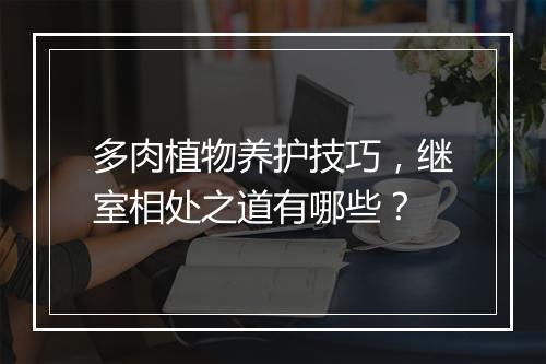 多肉植物养护技巧,继室相处之道有哪些?