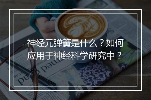 神经元弹簧是什么?如何应用于神经科学研究中?