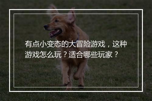 有点小变态的大冒险游戏，这种游戏怎么玩？适合哪些玩家？