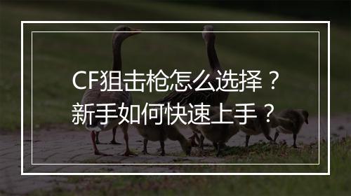 CF狙击枪怎么选择?新手如何快速上手?