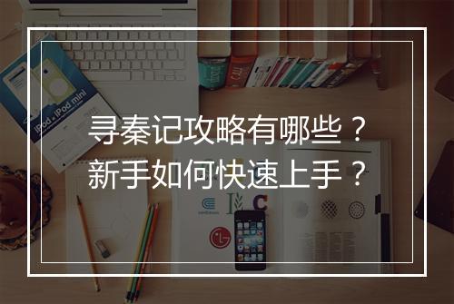 寻秦记攻略有哪些？新手如何快速上手？