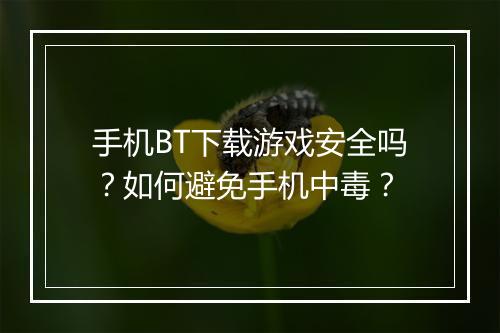 手机BT下载游戏安全吗?如何避免手机中毒?