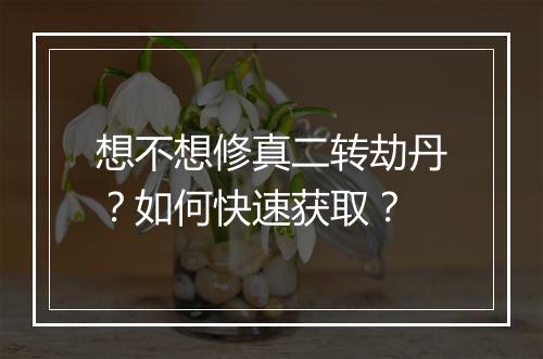 想不想修真二转劫丹?如何快速获取?