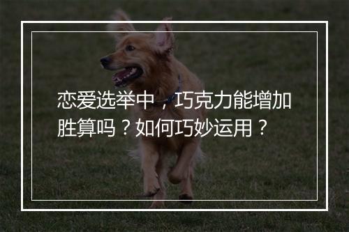 恋爱选举中，巧克力能增加胜算吗？如何巧妙运用？