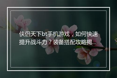 侠侣天下bt手机游戏,如何快速提升战斗力?装备搭配攻略揭秘