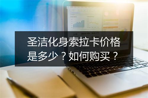 圣洁化身索拉卡价格是多少?如何购买?