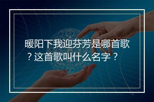 暖阳下我迎芬芳是哪首歌？这首歌叫什么名字？
