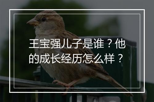 王宝强儿子是谁?他的成长经历怎么样?