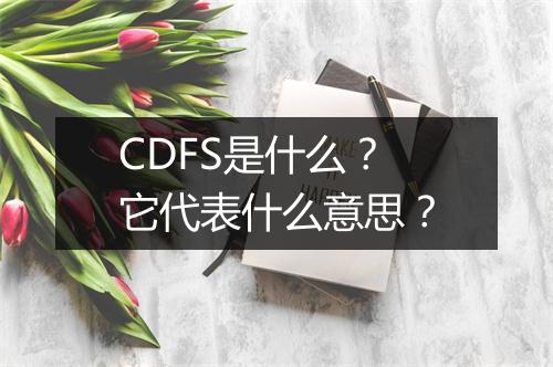 CDFS是什么?它代表什么意思?