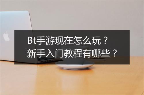 Bt手游现在怎么玩?新手入门教程有哪些?