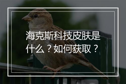 海克斯科技皮肤是什么?如何获取?