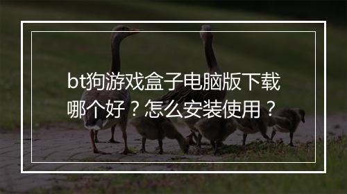 bt狗游戏盒子电脑版下载哪个好?怎么安装使用?