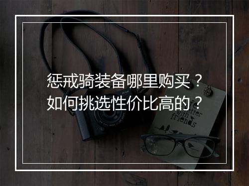 惩戒骑装备哪里购买?如何挑选性价比高的?