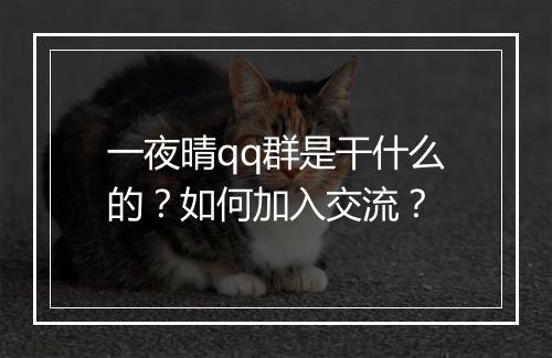 一夜晴qq群是干什么的?如何加入交流?