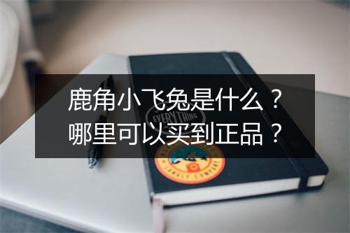 鹿角小飞兔是什么?哪里可以买到正品?