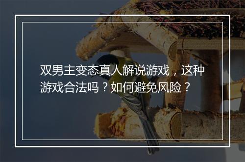 双男主变态真人解说游戏,这种游戏合法吗?如何避免风险?