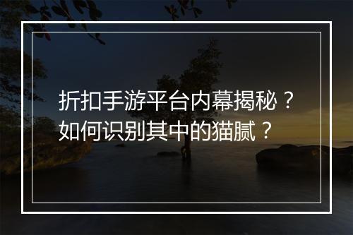 折扣手游平台内幕揭秘?如何识别其中的猫腻?