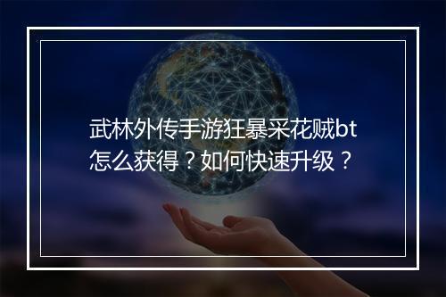 武林外传手游狂暴采花贼bt怎么获得?如何快速升级?