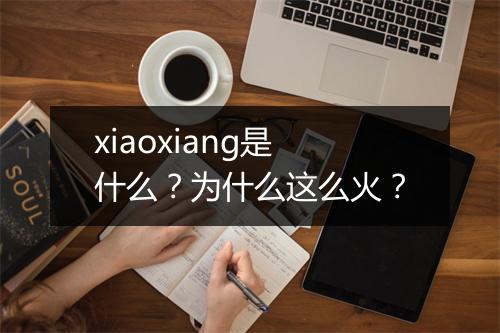 xiaoxiang是什么?为什么这么火?