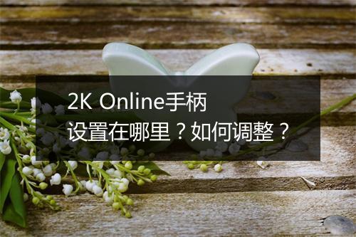 2K Online手柄设置在哪里?如何调整?