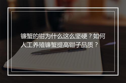 镰蟹的钳为什么这么坚硬?如何人工养殖镰蟹提高钳子品质?