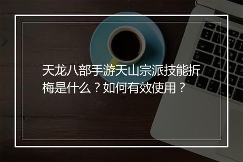 天龙八部手游天山宗派技能折梅是什么?如何有效使用?