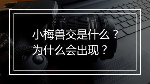 小梅兽交是什么？为什么会出现？