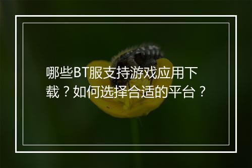 哪些BT服支持游戏应用下载?如何选择合适的平台?