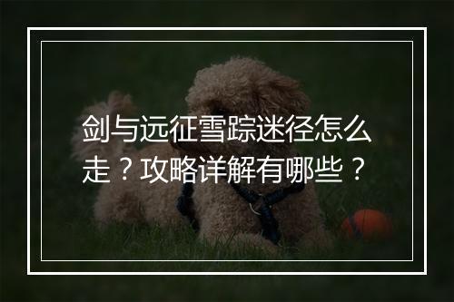 剑与远征雪踪迷径怎么走？攻略详解有哪些？