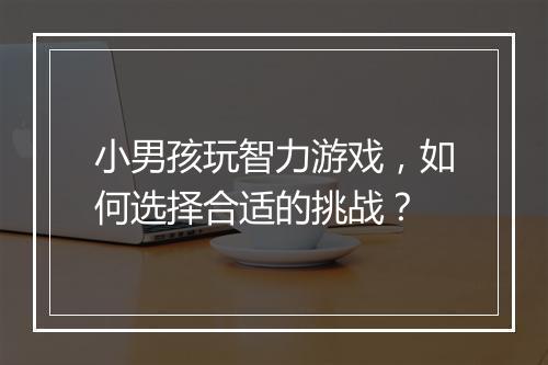 小男孩玩智力游戏,如何选择合适的挑战?