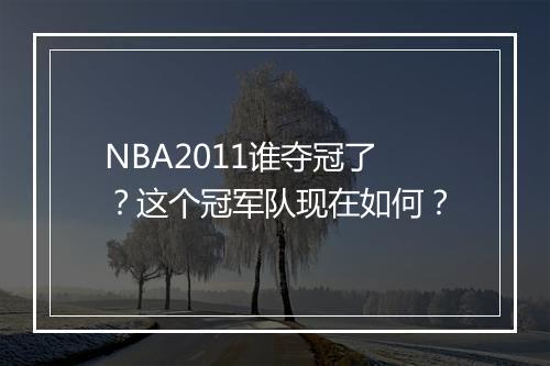 NBA2011谁夺冠了?这个冠军队现在如何?