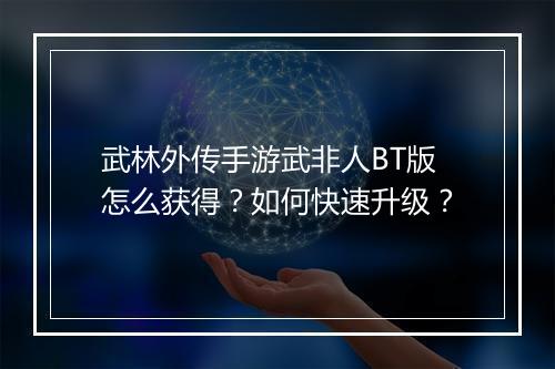 武林外传手游武非人BT版怎么获得？如何快速升级？