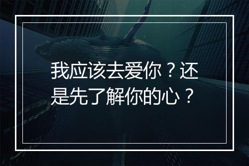 我应该去爱你？还是先了解你的心？