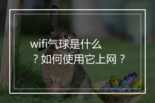 wifi气球是什么?如何使用它上网?