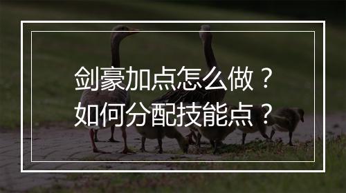 剑豪加点怎么做?如何分配技能点?