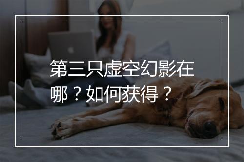 第三只虚空幻影在哪？如何获得？