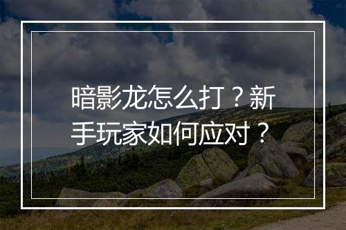 暗影龙怎么打?新手玩家如何应对?